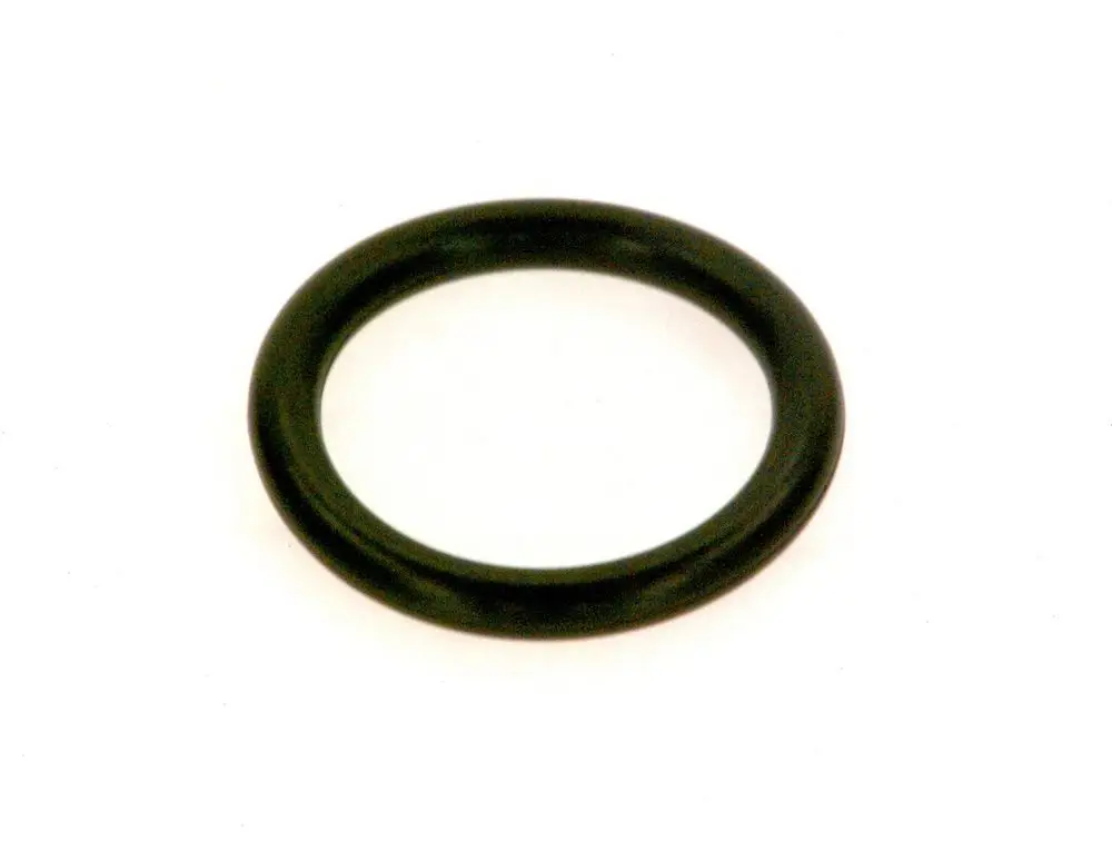Schwarzer O-Ring von Bosch, kreisförmig mit öffentlichem Innenraum, auf weißem Hintergrund, geeignet für Dichtungsanwendungen.